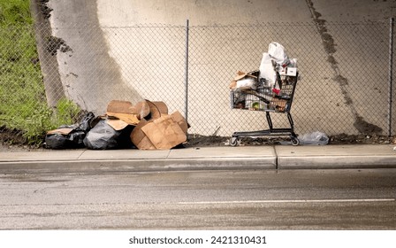 A shopping cart loaded with junk at a homeless camp with wet cardboard boxes nearby