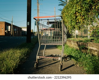 Shopping Cart On A Sidewalk, Kingston, New York