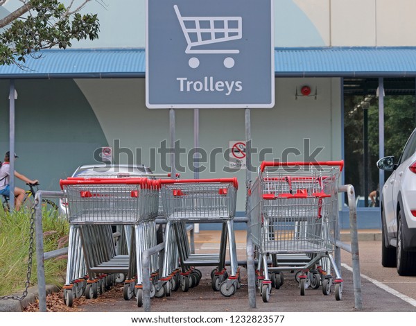Shopping carts in the parking\
lot