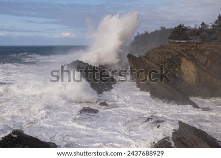 Shore Acres is a very popular place to watch giant waves crash against the rocky shore line.