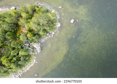 The Shore Of A Forest Lake. Aerial Top View.