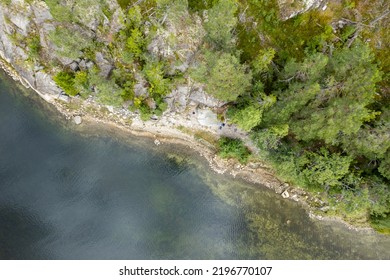 The Shore Of A Forest Lake. Aerial Top View.