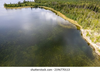 The Shore Of A Forest Lake. Aerial Top View.