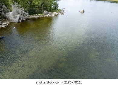 The Shore Of A Forest Lake. Aerial Top View.