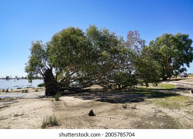 The Shore Line Of The Menindee Lakes