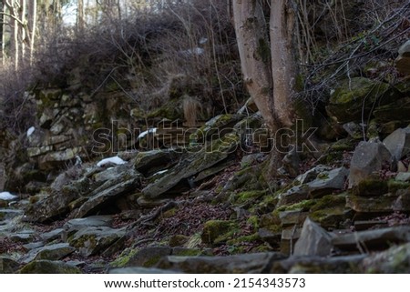 shore of a mountain river with stones overgrown with moss roots of a tree that sprouted in a rock in a mountainous area in early spring the weather is clear near the tree remnants of fallen dry leaves