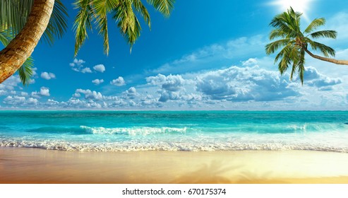 Shore of the ocean - Shutterstock ID 670175374