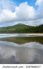 The Shore Of A Pacific Northwest Beach