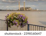 The shore of the River Thames in Gravesend, Kent, England, UK - with a flower box and Tilbury Power Station