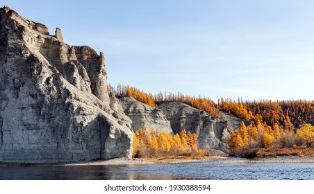Shore of the wild Siberian taiga river on a clear autumn day. Larch orange September taiga on the banks of the northern river.