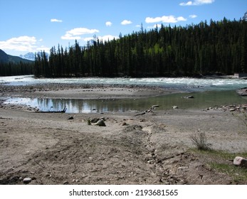 Shoreline Of The Athabasca River