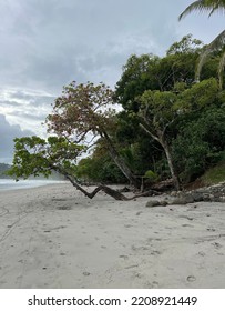 Shoreline Landscape On Quepos Costa Rica Beach