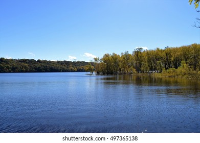 Shoreline Of The River