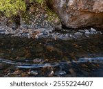 Shoreline rocks, autumn foliage, stream rocks and other details contrast with streaking foam dots created by a riffle, Rock Creek Canyon, Kankakee River State Park, Kankakee County, Illinois