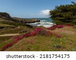 Shoreline of Stewarts Point, an unincorporated community in Sonoma County, California, USA
