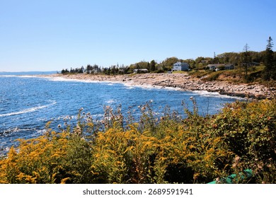 Shoreline view from elevated position.