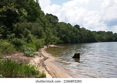 Shores Of Lake Marion Santee, SC, USA