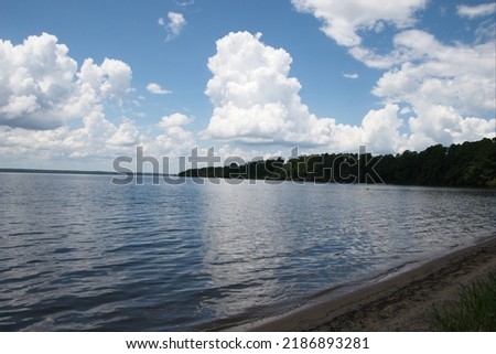 Shores of Lake Marion Santee, SC, USA