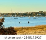 Shores of Provincetown, Cape Cod