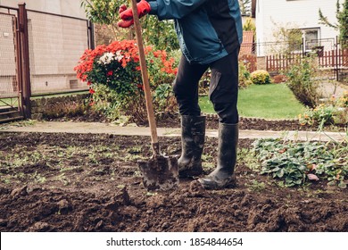 Short Break From Hard Manual Work With A Spade. A Man In Work Clothes And Rubber Boots Is Resting. Concept Of Agriculture Life.