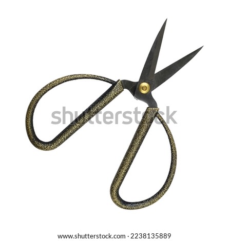 Short decorative scissors with wide rings isolated on white
