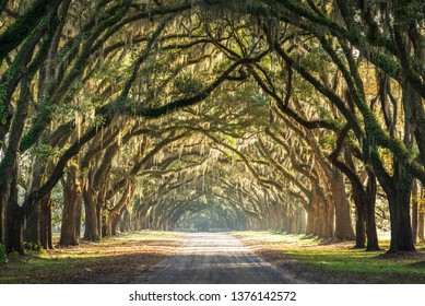 A short drive from downtown Savannah, Georgia is a historic site called Wormsloe Plantation. It is one of the most beautiful live oak lined path one can travel through in the lowcountry of Georgia. 