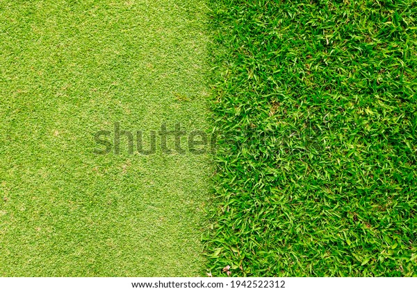 The short grass golf\
course is divided in half in proportion to the long grass for the\
background.