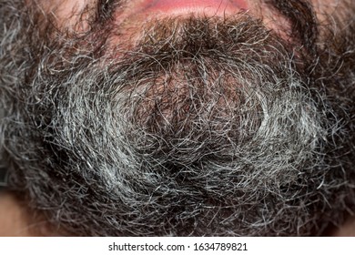 Short Gray Beard Of An Elderly Man