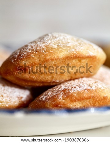 Short, plump little cakes called madeleines. Typical French sweet, famous thanks to writer Marcel Proust. Stock photo © 