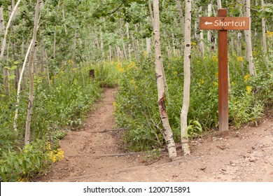 Shortcut Sign On A Hike