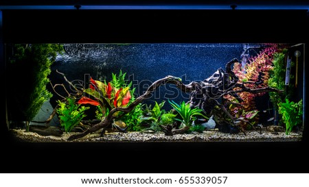 A shot of a 55 gallon, 4ft long tropical fish aquarium.