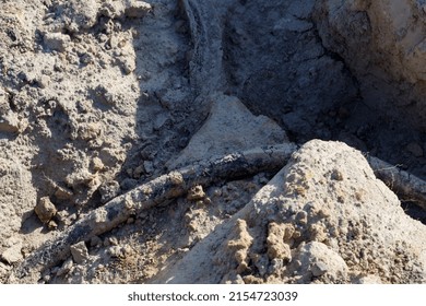 Shot From Above, Old Earth Cable. A Very Old Telecommunications Or Electrical Cable.