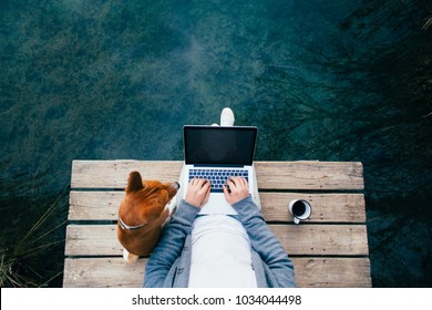 Shot from above POV photo of remote business worker or startup creative manager type code or project text on laptop, while relaxing in park with dog on walk and drink black coffee on camping trip