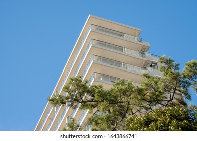 A Shot Of An Apartment Building With A Tree In Tokyo.