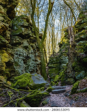 
A shot of an arduous footpath winding through the rock formations of the Teufelsschlucht in the Eifel region.
