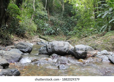 A Shot Of Argyle Waterfalls In The Caribbean, Roxborough, Trinidad   Tobago