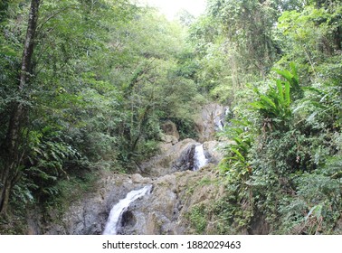 A Shot Of Argyle Waterfalls In The Caribbean, Roxborough, Trinidad   Tobago