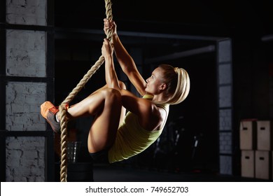 Shot of an attractive female crossfit athlete climbing a rope at the gym. Beautiful woman rope climbing at the crossfit box motivation positivity health concentration agility active living Battle rope - Powered by Shutterstock