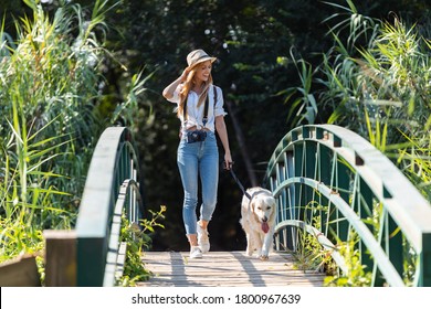 Shot of attractive young amateur photograph woman walking with her dog crossing over a bridge in the park. - Shutterstock ID 1800967639