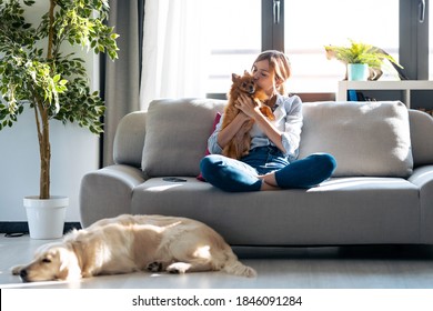 Shot Of Attractive Young Woman Kissing Her Little Cute Dog While Sitting In Couch With Her Dogs And Cat In Living Room At Home.