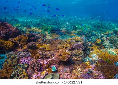 A shot beautiful shot of a crystal clear water and reef - Shutterstock ID 1406227721