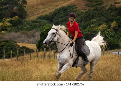 white polo shirt with brown horse