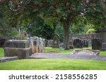 Shot of a beautiful very old and green cementary in scotland  Overgrown graves and a very nice tree with red fruits