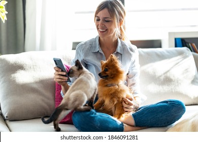 Aufnahme einer schönen jungen Frau, die mit ihrem süßen Hund und ihrer Katze spielt, während sie das Handy auf der Couch im Wohnzimmer zu Hause sitzt.