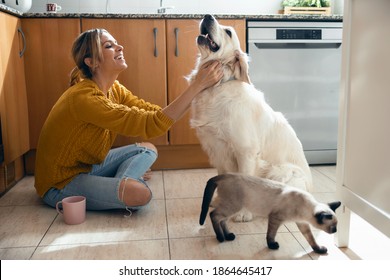 Shot of beautiful young woman stroking her cute lovely dog sitting on the floor in the kitchen at home.
