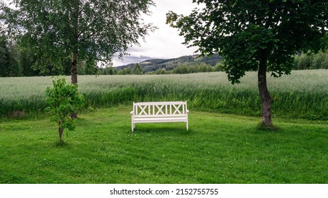 shot of a bench in the middle of two trees in front of tall grass
