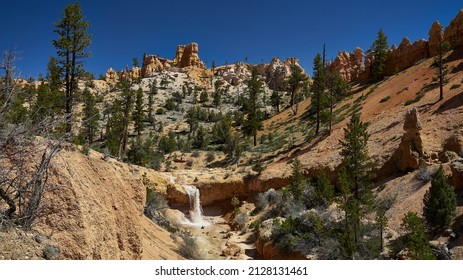 A Shot Of The Bryce Canyon Of The Zion National Park In Utah, United States