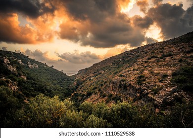 A Shot Of The Carmel Ridge, Israel