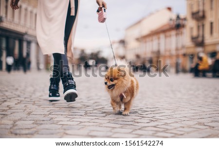 Shot of cool beautiful young woman walking while shopping for the city with her little dog.