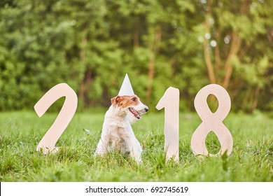 Shot Of A Cute Wire Fox Terrier Wearing Party Hat Sitting Near Numbers Forming 2018 For Chinese New Year Of The Dog Greeting Card Concept.